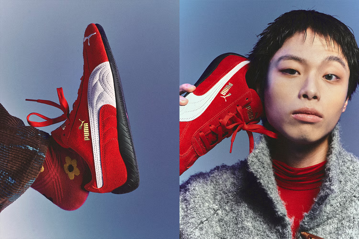 Puma campaign detail